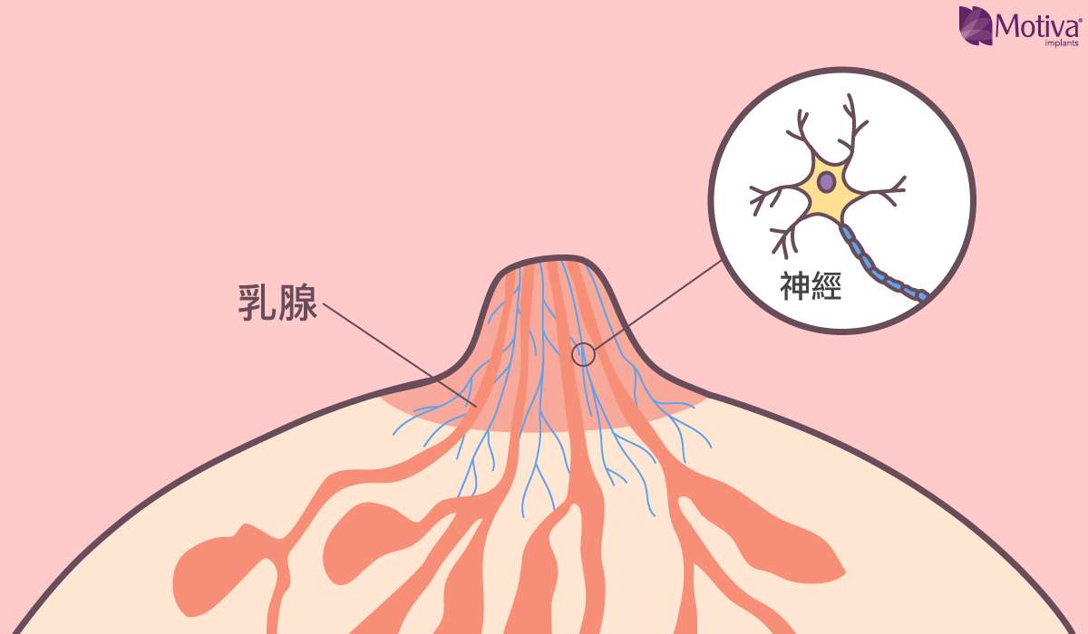 乳腺破壞