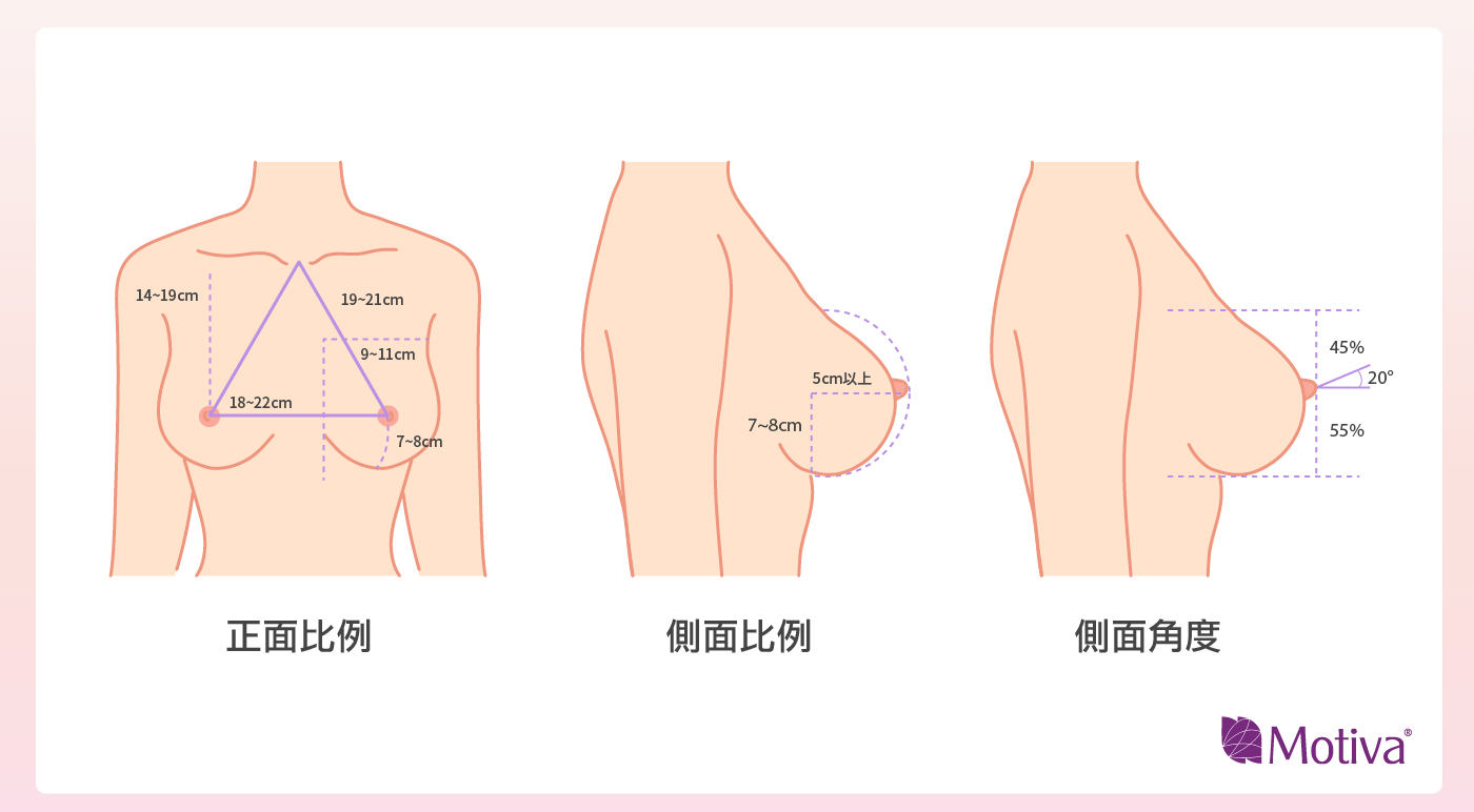 胸型黃金比例